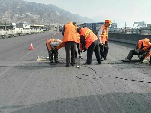 自贡道路桥梁病害治理